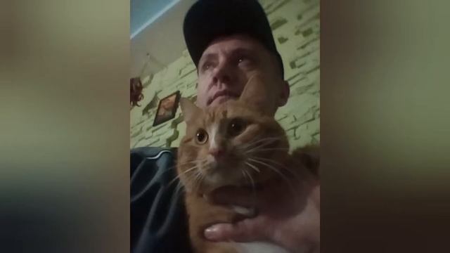 КОТИК КОТЕЙКА КОТЭ КАТАН я котоман!