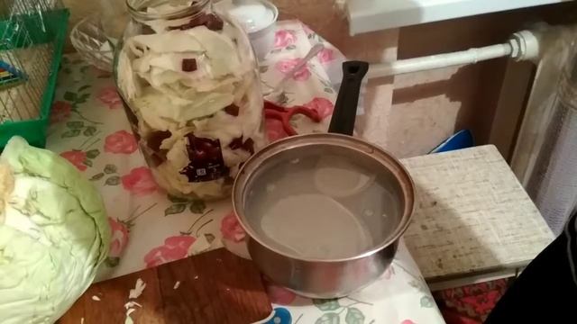 Капуста пелюстка своими руками.