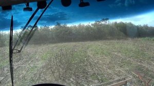 Уборка подсолнуха самодельным комбайном!