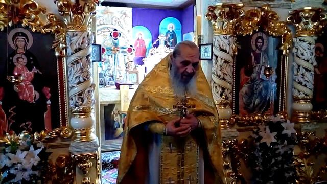 Исцеление слепых. Проповедь Протоиерея Евгения (Петренко) 23.07.2017 смотреть онлайн