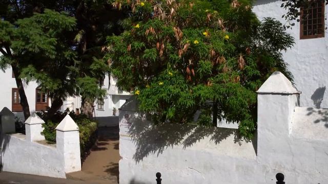 Icod de los Vinos Tenerife 4K Travel Video смотреть онлайн