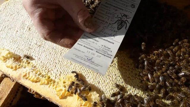 Карника Тройзек 1075   СУПЕР Подготовка в зиму. ВСЕМ смотреть до конца!!! смотреть онлайн