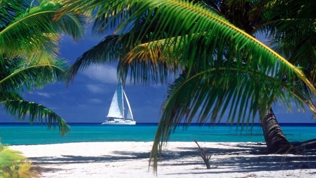 Совмещение гороскопов. Рак Крыса. смотреть онлайн