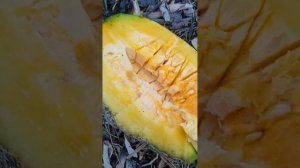 Жостко похулеганели над соседями 2 часть