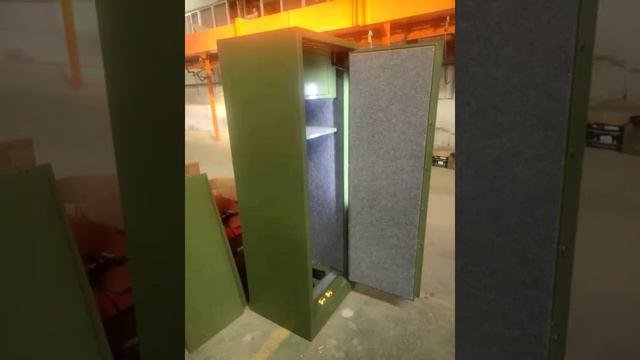 Dingfa Customized Gun Safe