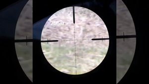 Krugergun полнотел, 200 метров, 255 метров, 82 метра. Пуля старбулет  6,35 3г