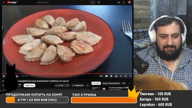 Жирный смотрит: Как правильно издеваться над хозяином?/ Лайфхак от Хаски ~ смотреть онлайн