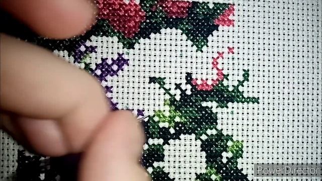 Живой процесс. Летний сад.
