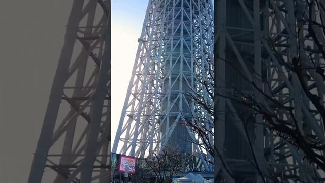 TOKYO SKYTREE / Самая высокая телебашня в мире 634 м.