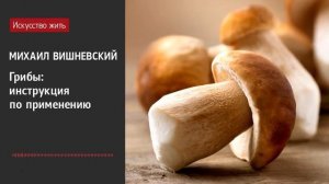 Михаил Вишневский. Грибы - инструкция по применению.