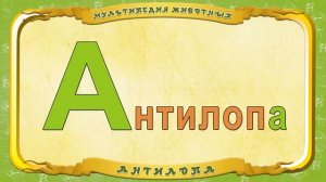 Мультипедия животных  Буква А   Антилопа