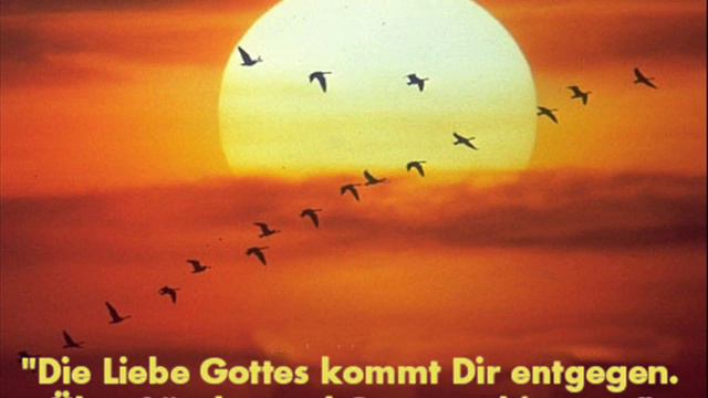 Nochnoe nebo.wmv смотреть онлайн