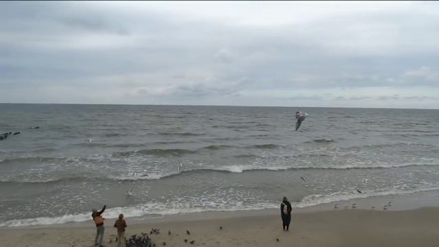 Муслим Магомаев О море, море смотреть онлайн