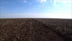 Прямой посев овса по предшественнику суданка.