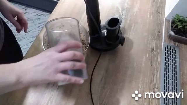 Рецепт орехового соуса Баже.