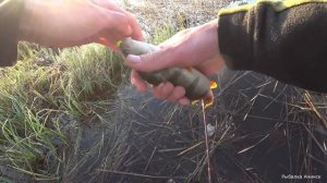 рыбалка ранним утром ЧТО Я ПОЙМАЛ НА СПИННИНГ?! ЖЕСТЬ!