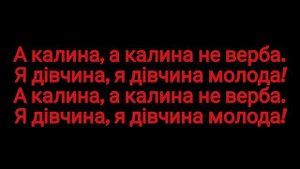 KOLABA - А КАЛИНА НЕ ВЕРБА РЕМІКС | КАРАОКЕ