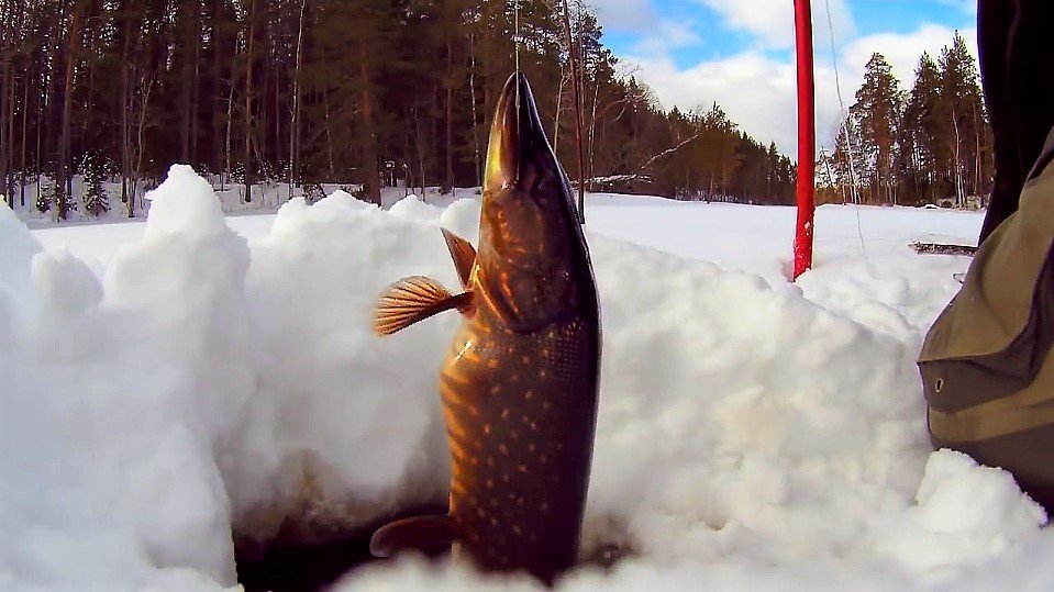 Рыбалка март 2018 год.mp4