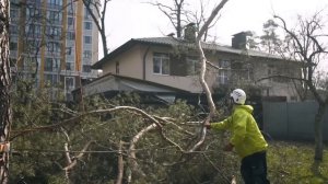 Огляд та тест маленької бензопили Dnipro-M CS-28T з арбористою