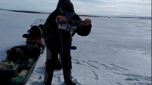 Зимняя рыбалка на озере Панэчаты #Воркута #зимняяловлярыбы #снегоход