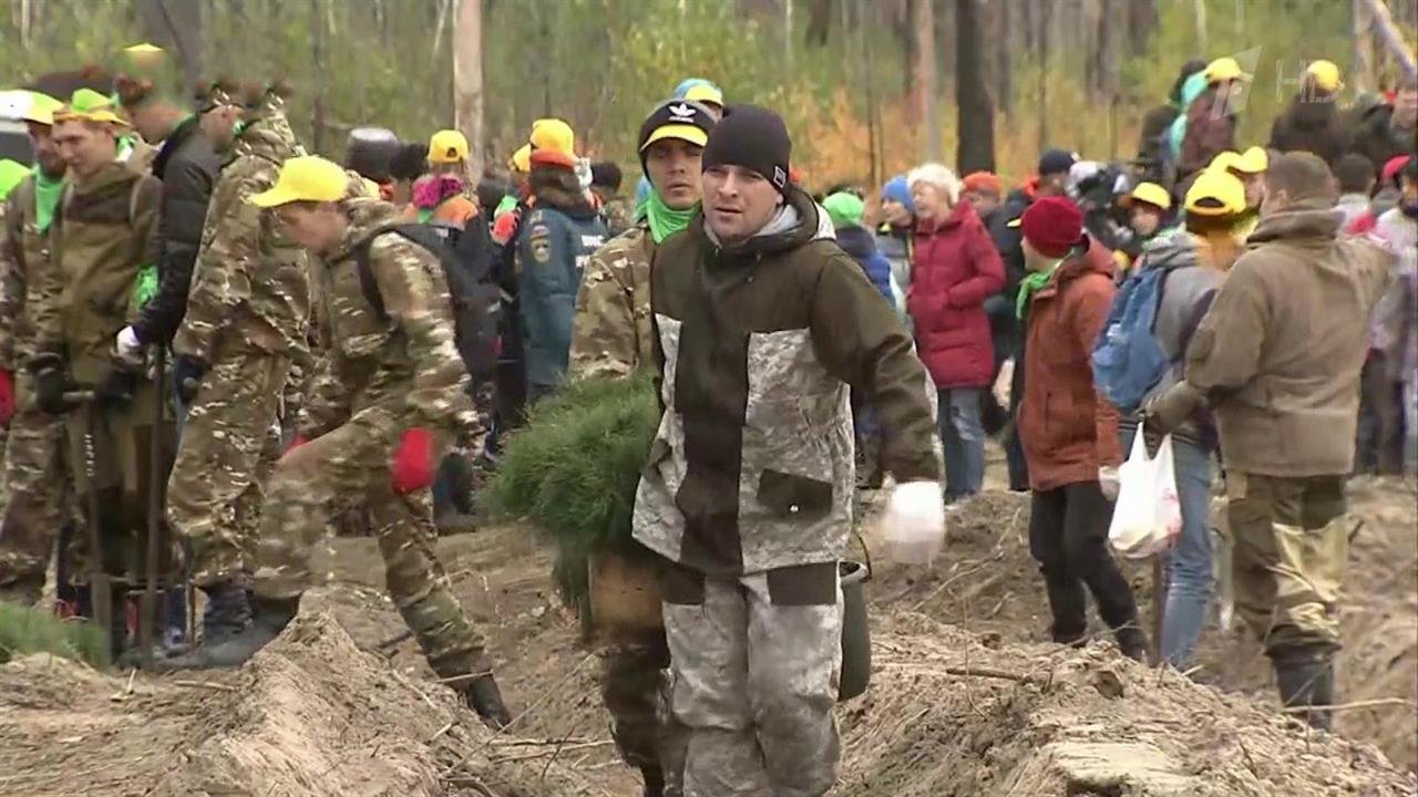 Экологическая акция проходит в 80 регионах России, принять участие может каждый