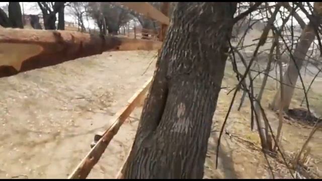 СНТ Мелиаратор просит вмешательства контролирующих и правоохранительных органов смотреть онлайн