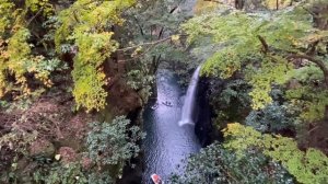 Япония. Выпуск 4. Сырая Конина на ужин