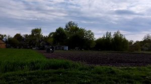 Вспашка и посев огорода мотоблоком мтз ?