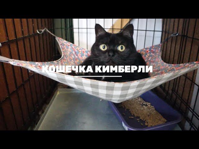 КИМБЕРЛИ (уже дома)