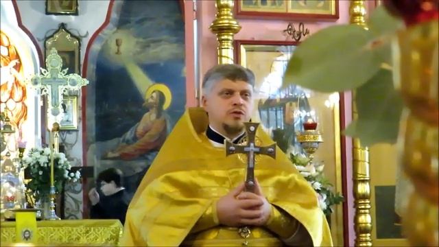 29 октября 2023 г. Проповедь прот. Иоанна Монаршека Еванг. от Луки 8, 5-15, "вышел сеятель сеять... смотреть онлайн