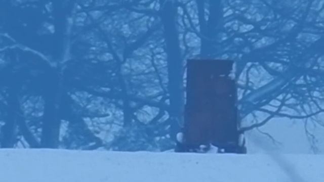 Nikon Coolpix P500 Zoom Test 1.MOV смотреть онлайн