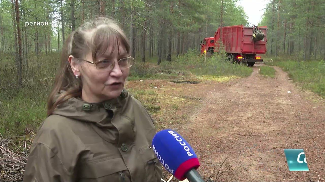 03 11 2022  Уборка свалок в Северодвинском лесничестве