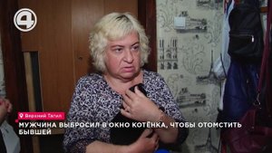 Мужчина выбросил в окно котёнка, чтобы отомстить бывшей