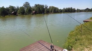 Аржан - ТУРБАЗА | АКУЛОВО | МОСКВА / РЫБАЛКАРАКИБАНЯ