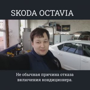 Skoda Octavia. Не включается кондиционер. Хитрая неисправность.