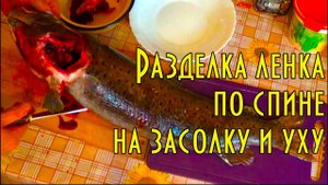 Разделка ленка, пресноводного лосося, по спине на уху и соление.