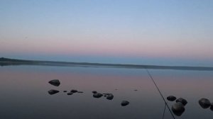 Отличная рыбалка на фидер. Судак на фидер. Фидер на реке Вуокса.