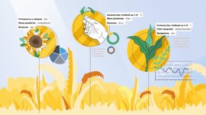 Изготовление инфографики для систем агромониторинга
