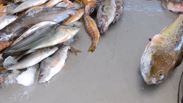 Где купить свежую рыбу на Крите Where buy fresh fish in Crete Prices смотреть онлайн
