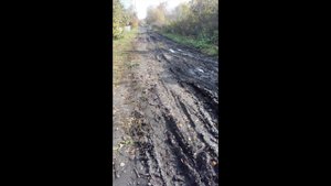 Осень село Алгасово, Тамбовская область, Моршанский район