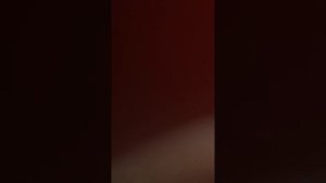 Женский туалет ржака