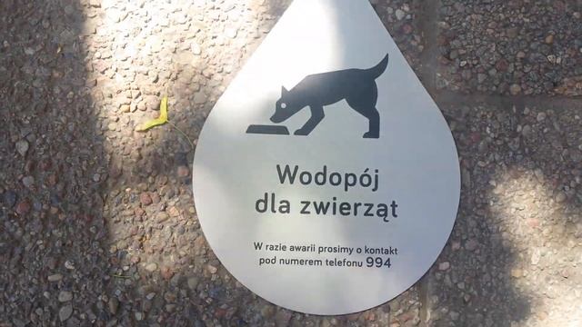 Мопед скорая помощь! Или где в Гданьске в жару помыть руки и напоить своего четвероногого друга... смотреть онлайн