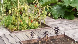 Сад в средиземноморском стиле