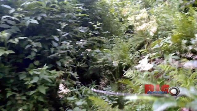 CROSSBAR CHALLENGE смотреть онлайн