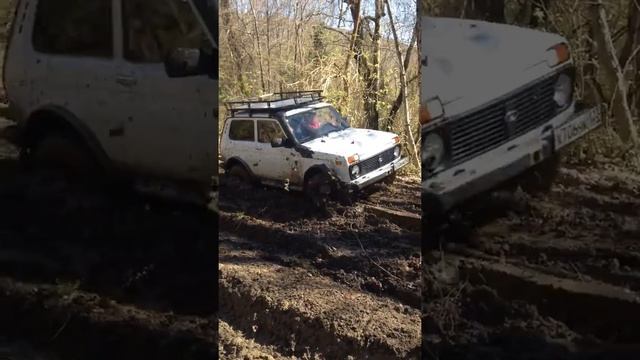 Покатушки нива-рысь 4х4 бездорожье