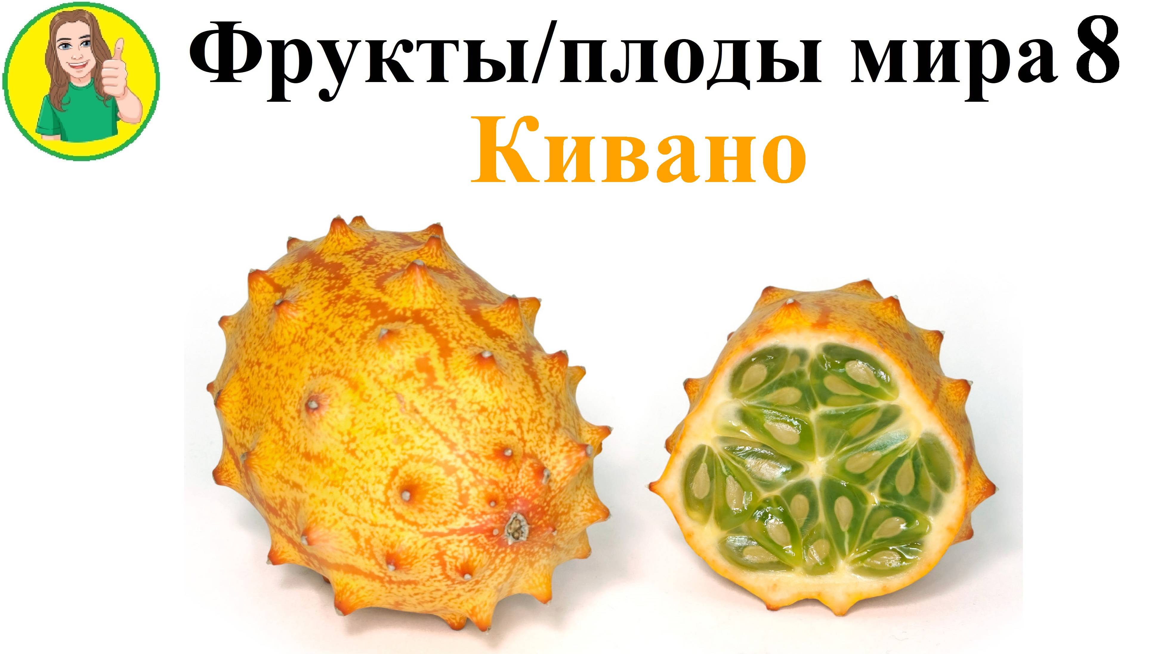 Фрукты - плоды мира 8 – Кивано Сыроедение Фрукторианство