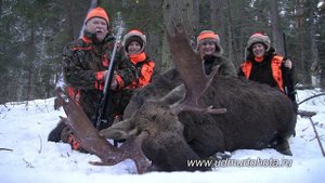 Видеоотзыв на охоту на лося загоном 2014 Drückjagd auf Elchwild