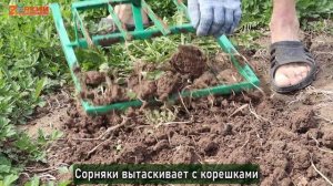 Чудо-лопата с AliExpress: Смотрим в действии и показываем плюсы и минусы "волшебного" приспособлени