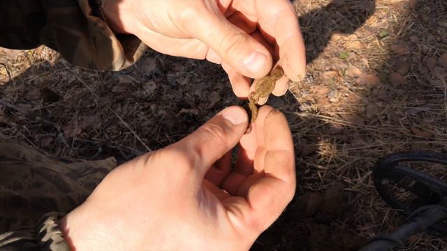 Весенний Коп 2019. Приборный поиск монет. Открытие сезона! Первая царская монета в этом году. смотреть онлайн