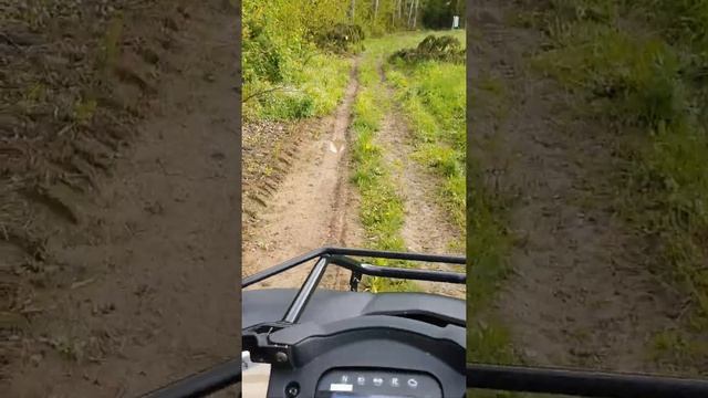 Linhai D400 отзыв смотреть онлайн